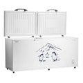 Hisense 660L 2-Door Commercial Chest Freezer